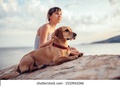 Small brown dog lying next to the girl who cuddling him on the beach by the sea
