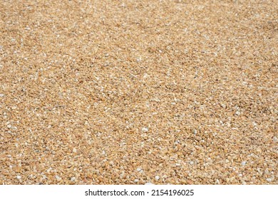 Small brown stones gravel texture background. Pebble on shingle beach. small pebble and stone texture. Pebble background. Gravel pebble or rock fragments

 - Powered by Shutterstock