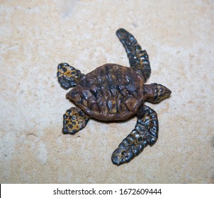 Small brown turtle crawling on the white sea sand, marine life, reptiles, mollusks.