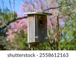 a small brown wooden bird house on a post surrounded by pink trees, lush green trees and plants, bare winter trees with green grass, blue sky and clouds at Smith-Gilbert Gardens in Kennesaw Georgia	