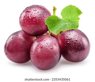 Small bunch of red table grape with grape leaves covered with water drops isolated on white background.
