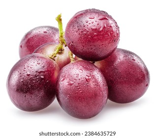 Small bunch of red table grape covered with water drops isolated on white background.