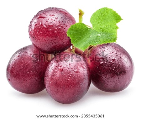Small bunch of red table grape with grape leaves covered with water drops isolated on white background.
