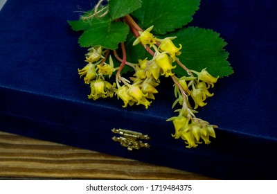 Small Bunch Of Yellow Flowers On Blue Velvet Box