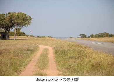 Small Bush Airport And Runway On A Private Game Reserve In South Africa. Safari Landing Strip