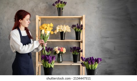 Small Business Concept. A Young Beautiful Woman Florist In An Apron Stands Near A Showcase With Tulips Collects A Bouquet Of Tulips. Flower Delivery. Banner. Copy Space.