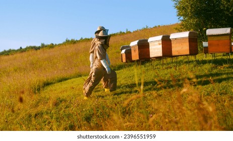 Small business and organic food production concept. Two beekeepers in protective uniform walking with honeycombs while working on a traditional apiary. Side view. Organic honey collection concept.