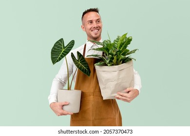 Small Business Owner Holding Potted Plants