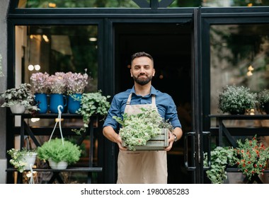 Small Business Owner Works In Flower Shop And Customer Service. Confident Smiling Young Bearded European Male In Apron Carries Wooden Box With Plants, On Shop Or Eco Cafe Background, Empty Space