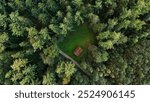 A small cabin nestled in a dense pine forest, captured from above. A peaceful retreat surrounded by towering conifers, offering a quiet escape into nature