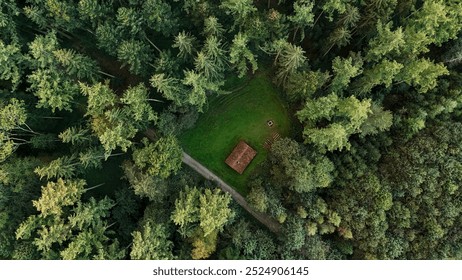 A small cabin nestled in a dense pine forest, captured from above. A peaceful retreat surrounded by towering conifers, offering a quiet escape into nature - Powered by Shutterstock