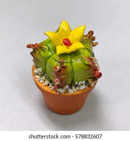 Small cactus