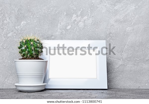 Download Small Cactus Flower Pot Mockup White Nature Stock Image 1113800741 PSD Mockup Templates