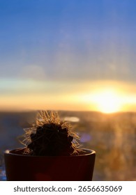 A small cactus in sharp focus stands silhouetted against a vibrant orange sunset, creating a striking contrast between foreground detail and glowing sky.