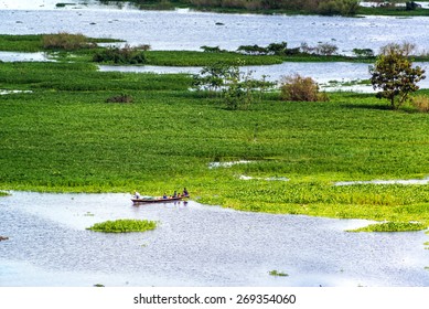 Small Canoe In The Itaya River Near Iquitos, Peru In The Amazon Rainforest