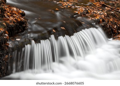 A small cascade surrounded by fallen autumn leaves