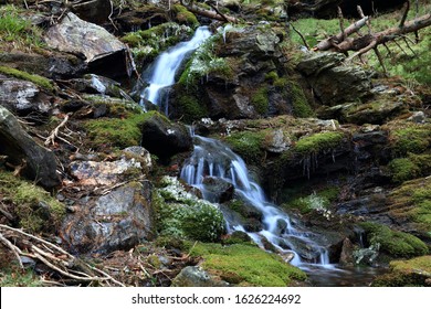 Small cascade waterfall in green forest with tree trunks fallen all over. Waterfall on Studeny potok near Sokoli skala and Vysoky vodopad, Jeseniky, Czech Republic. - Shutterstock ID 1626224692
