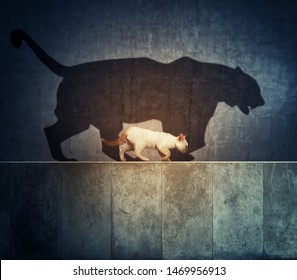 A small cat and a big tiger shadow