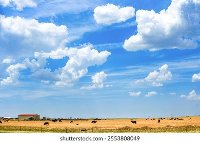 A small cattle ranch and a cloudscape on a sunny day in western USA