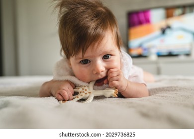 Small caucasian baby four or five months old having teeth growing issues teething pain while holding a bite toy looking to the camera lying on the bed with teether at home