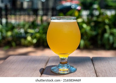 A Small Chalice Sample Glass Of Pale Ale Craft Beer. The Liquid Has A Yellow Tint. A Clear Beer Glass Sits On The Edge Of A Wooden Table At A Microbrewery. The Background Has Green Garden Shrubs.