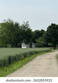 Small chapel between the trees
