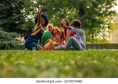 A small cheerful party of multiethnic girls are on the lawn in the city park taking a selfie with a cellphone. - Powered by Shutterstock