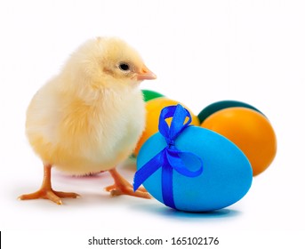 small chick with easter eggs