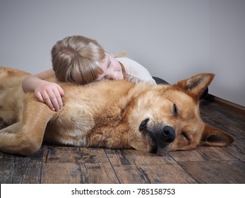 A Small Child And A Big Dog Sleeping Together Lying On The Floor