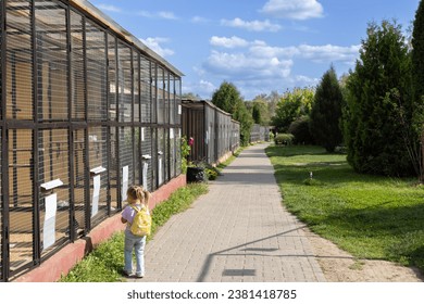 A small child girl walks around the zoo and looks with interest into the cages with exotic birds. A child and his parents came to the bird park and are enjoying the weekend.
