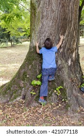 Small Child Hugging And Trying To Climb A Big Tree In A Park