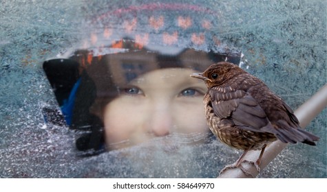 Small Child Looks Through A Frosted Window