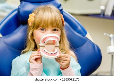 A Small Child Plays With Artificial Jaws. Children's Dentistry. Dental Office.