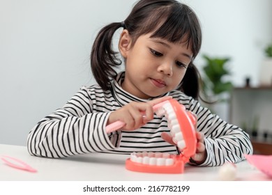 A Small Child Plays With Artificial Jaws. Children's Dentistry.