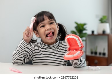 A Small Child Plays With Artificial Jaws. Children's Dentistry.