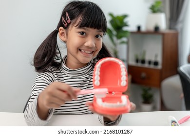 A Small Child Plays With Artificial Jaws. Children's Dentistry.