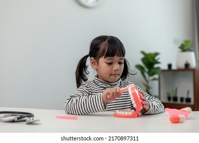 A Small Child Plays With Artificial Jaws. Children's Dentistry.