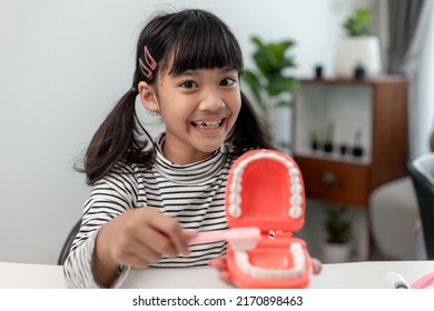 A Small Child Plays With Artificial Jaws. Children's Dentistry.