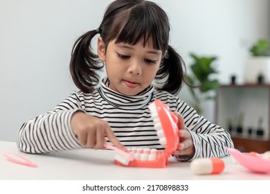 A Small Child Plays With Artificial Jaws. Children's Dentistry.