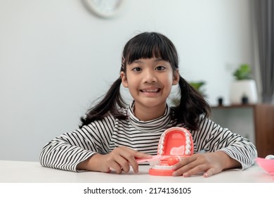 A Small Child Plays With Artificial Jaws. Children's Dentistry.