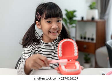 A Small Child Plays With Artificial Jaws. Children's Dentistry.