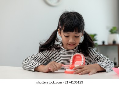 A Small Child Plays With Artificial Jaws. Children's Dentistry.