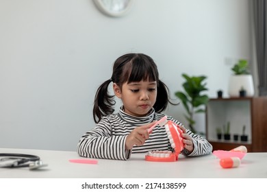 A Small Child Plays With Artificial Jaws. Children's Dentistry.