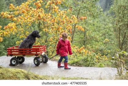 Small Child Pulling His Pet Dog In His Red Wooden Wagon Up A Hill With Autumn Leaves In The Background. 