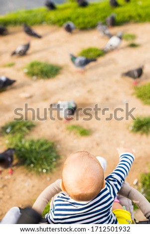 Small Child In Stroller, On Background Of Pigeons Birds, Walk In Park In Summer. Top View And Close-Up.