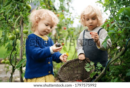 Similar – Foto Bild Bruder und Schwester von Hinten am Zaun