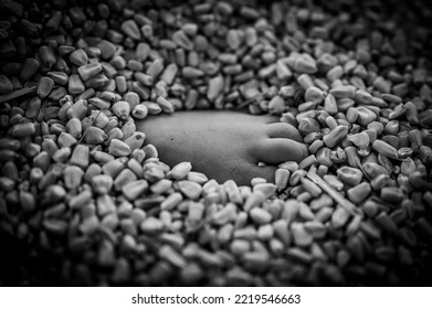 Small Child's Foot Buried And Entrapped In The Top Layer Of Corn In A Grain Storage Bin.