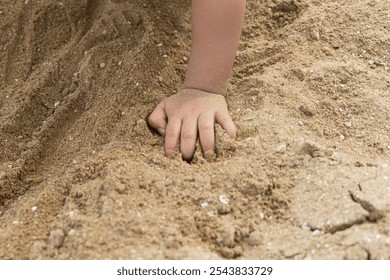 A small child's hand digging into the sandy beach, exploring the texture and feel of the sand. This close-up captures the joy of tactile play, perfect for themes of childhood, exploration, and nature. - Powered by Shutterstock