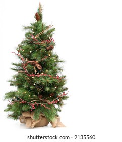 Small Christmas Tree, Isolated On White.