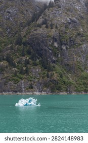 Small chunks of ice caps floating on icy water in Alaska.